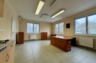 Büro zu mieten in 7111 Parndorf, Büroräumlichkeiten in Parndorf