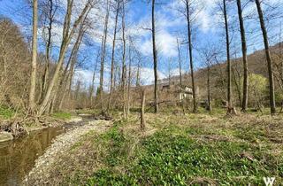 Villen zu kaufen in 3400 Klosterneuburg, Idyllische Ruhelage mit anliegendem Bach: Ihre Villa mit riesigem Potential