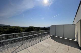 Wohnung mieten in Bründlgraben 45, 3500 Krems an der Donau, Danube Hills Perfekte Singlewohnung mit großer Terrasse