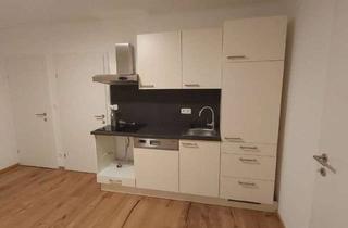 Wohnung mieten in Raimundstraße 39, 4020 Linz, Modern-sanierte 2-Zimmer-Wohnung zu vermieten