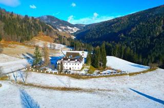 Haus kaufen in 9563 Zedlitzdorf, Schloss Berg Klösterle – Eine historische Perle in den Nockbergen