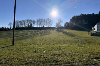 Grundstück zu kaufen in 4160 Aigen im Mühlkreis, Sonniges Grundstück in ländlicher Umgebung - frei von Bauzwang