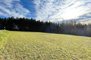 Grundstück zu kaufen in 8062 Kumberg, Bauträger aufgepasst: Sonniges Grundstück in idyllischer Ruhelage