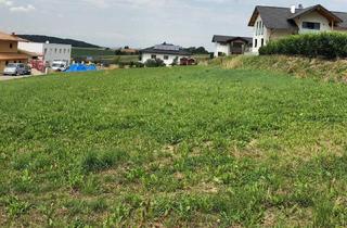 Grundstück zu kaufen in 4910 Pattigham, Pattigham - sonniges Baugrundstück mit schönem Ausblick!