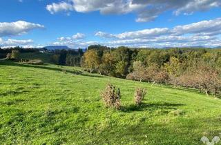 Grundstück zu kaufen in 8301 Kainbach, Baugrundstück in sonniger Aussichtslage für Einfamilienhaus oder kleinen Gewerbebetrieb zentral an Hönigthaler Straße