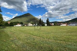 Grundstück zu kaufen in 2734 Puchberg am Schneeberg, IDEALES INVESTITIONSPOTENZIAL FÜR BAUTRÄGER - 12.700M2