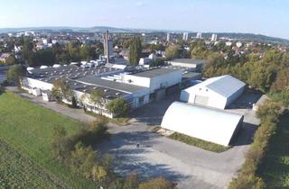 Lager mieten in 3100 Sankt Pölten, Büro- und Hallenflächen in St. Pölten, flexible Flächengestaltung