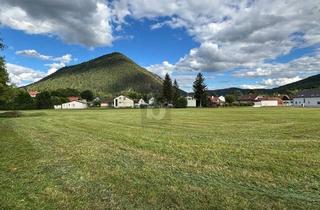 Grundstück zu kaufen in 2734 Puchberg am Schneeberg, IDEALES INVESTITIONSPOTENZIAL FÜR BAUTRÄGER - 12.700M2