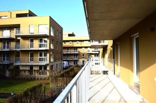 Penthouse kaufen in Zirbenweg, 8401 Kalsdorf bei Graz, PROVISIONFREI! Genießen Sie herrliche Sommertage in Ihrem idyllischen Eigenarten - viele weitere Wohnungen auch nur mit Balkon verfügbar!