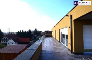 Penthouse kaufen in Zirbenweg, 8401 Kalsdorf bei Graz, WOHNTRAUM DELUXE - 4-Zimmer-Neubauwohnung mit riesiger SONNEN-Dachterrasse! Erstbezug - Fertigstellung 2024! PROVISIONFREI!