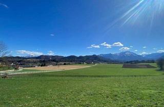 Grundstück zu kaufen in 9121 Lassein, Traumhaftes Baugrundstück in sonniger Lage mit Bergblick