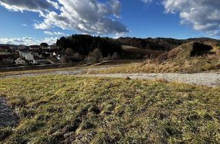 Grundstück zu kaufen in 8200 Ludersdorf, Sonnige Baugrundstücke ab sofort in Ludersdorf zu verkaufen!