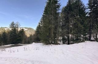 Grundstück zu kaufen in 6867 Schwarzenberg, Baugrundstück mit Ferienwidmung in bester Lage in Schwarzenberg Bödele