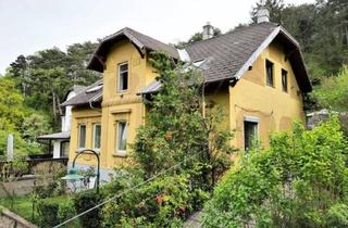 Villen zu kaufen in 2380 Perchtoldsdorf, Jahrhundertwendevilla in GRUEHNRUHE, SACKGASSE