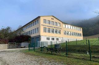 Büro zu mieten in 4783 Schafberg, Büro- und Lagerflächen zu MIETEN