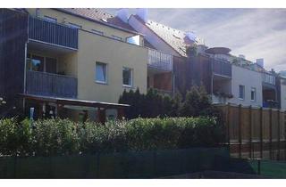 Wohnung mieten in Schulgasse 9/3/2, 3714 Sitzendorf an der Schmida, Geförderte 3 Zimmer Wohnung mit Terrasse und Eigengarten | Miete mit Kaufoption