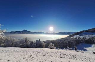 Grundstück zu kaufen in 6370 Reith bei Kitzbühel, BEYOND THE CLOUDS. 2.171 m² Ausnahmegrundstück in Hanglage mit Panoramblick und genehmigter Projektierung