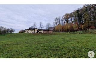 Bauernhäuser zu kaufen in 4730 Stroiß, Haus mit 1,7 ha landwirtschaftlicher Nutzfläche und Quellwasser