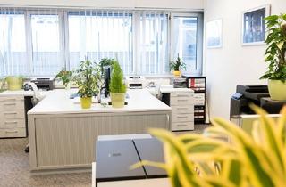 Büro zu mieten in 8041 Graz, All-inclusive: ruhige, moderne Stadtbüros am Verkehrsknotenpunkt Graz Liebenau!