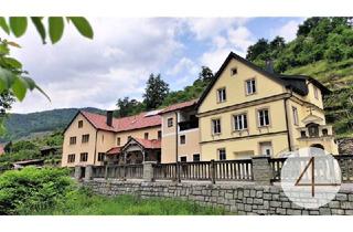 Mehrfamilienhaus kaufen in 3620 Spitz, Mehrfamilienhaus oder Gästehaus in der Wachau