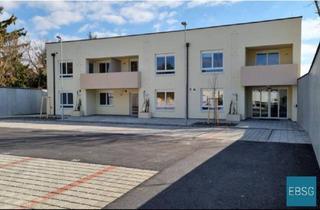 Wohnung mieten in Kirchengasse WE 1/15, 2285 Leopoldsdorf im Marchfelde, Junges Wohnen: 2-Zimmerwohnung im 1.OG mit Loggia