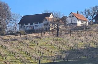 Bauernhäuser zu kaufen in 8093 Sankt Peter am Ottersbach, Altes Bauerngehöft in erhöhter Ruhelage mit unverbaubarer Freisicht