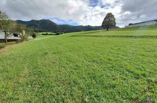 Grundstück zu kaufen in 8662 Mitterdorf im Mürztal, 6265 m2 Eigengrund! Kein Bauzwang! Ruhelage und Aussicht!