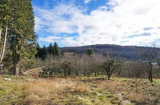 Grundstück zu kaufen in Wiener Stadtgrenze, 3001 Mauerbach, Grundstück mit Panoramablick an der Wiener Stadtgrenze - teilbar mit Bauträger-Eignung!