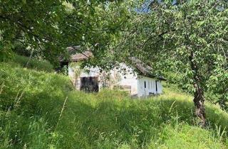 Haus kaufen in 4173 Sankt Veit im Mühlkreis, Sacherl mit viel Grund im schönen Mühlviertel!