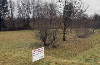 Grundstück zu kaufen in Güssinger Straße, 7535 Sankt Michael im Burgenland, Baugrund in Sankt Michael im Burgenland