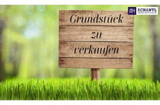 Grundstück zu kaufen in 2440 Gramatneusiedl, TOP BAUGRUNDSTÜCK FÜR GEWERBE - Verschiedene Größen möglich - Kaufpreis: ab € 195.- pro m²