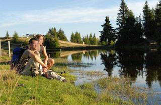 Wohnung kaufen in 9542 Afritz am See, Ferienwohnungen Naturoase Mirnock Top4