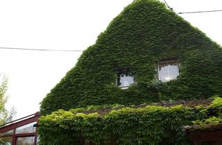 Haus mieten in Seilmayrstraße, 4060 Leonding, Einfamilienhaus mit Wintergarten auf großem Grundstück in Leonding