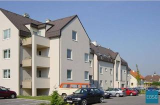 Wohnung mieten in Dr. Koch-Hof WE D/40, 3493 Hadersdorf am Kamp, 1-Zimmerwohnung im 2.OG