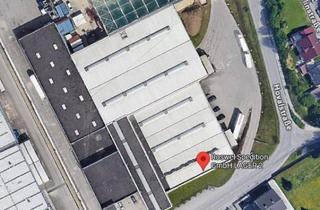 Büro zu mieten in Freilinger Straße 42, 4614 Marchtrenk, Lager-/Logistikhalle Wels Ost - Hallenhöhe bis 8 Meter