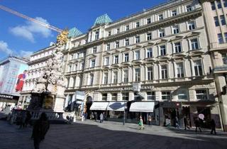 Büro zu mieten in Graben, 1010 Wien, Office Center Graben 28 - serviciertes Großraumbüro für bis zu 6 Personen mit Besprechungsraum und Küche