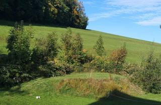 Grundstück zu kaufen in 5310 Tiefgraben, Baugrund Mondseeberg- Ruhelage - Panoramasicht