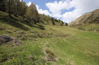 Immobilie kaufen in 9822 Mallnitz, Almhütte mit Jagdbeteiligung in Oberkärnten zu verkaufen!