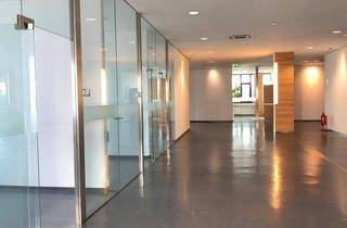 Büro zu mieten in Johann-Roithner-Strasse 131, 4050 Traun, Moderne Bürofläche in zentraler Lage - 382 m²