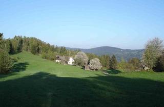 Haus kaufen in 3972 Weikertschlag, Traumhafte Einzellage. Weitblick!