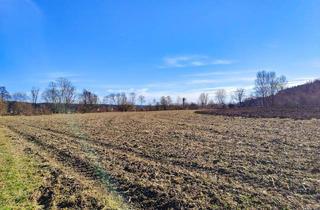 Gewerbeimmobilie kaufen in 8152 Södingberg, Ebenes Landwirtschaftliches Grundstück bei Söding. - Potential zur Vergrößerung mit + 2,1 ha.