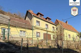 Einfamilienhaus kaufen in 3500 Krems an der Donau, Ehemaliges Winzerhaus mit Weingarten und Donaublick