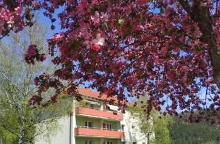 Wohnung kaufen in Hauptstraße 15, 2763 Pernitz, Schöne 2 Zimmerwohnung mit traumhaften Ausblick und großer Loggia