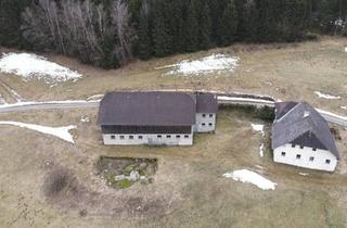 Haus kaufen in Neudorf, 4175 Herzogsdorf, Landwirtschaft mit knapp 20 Hektar in beinahe Alleinlage