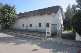 Haus mieten in 2451 Hof am Leithaberge, Kleines Haus mit einem Zimmer und einem Kabinett zu mieten!