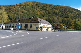 Gastronomiebetrieb mieten in 3653 Weiten, Jahrelang bestens eingeführtes Gasthaus mit der Möglichkeit eines kleinen Tierparks