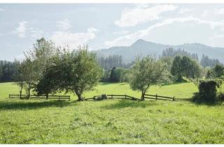 Grundstück zu kaufen in 6300 Wörgl, Großzügiges Grundstück mit idyllischer Aussicht in vorteilhafter Lage von Wörgl I Bezirk Kufstein für Wohnen und Gewerbe