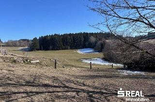 Grundstück zu kaufen in 4202 Althellmonsödt, 3 Bauparzellen in 4202 Hellmonsödt