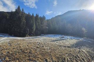 Grundstück zu kaufen in 8862 Sankt Ruprecht ob Murau, St.Georgen/Kreischberg! - Grundstück mit Abbruchhaus für Investoren!