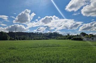 Grundstück zu kaufen in 4971 Aurolzmünster, SCHÖNE SONNIGE RUHELAGE!